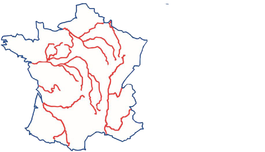 Techniciens Associés des Centres de Transfusion