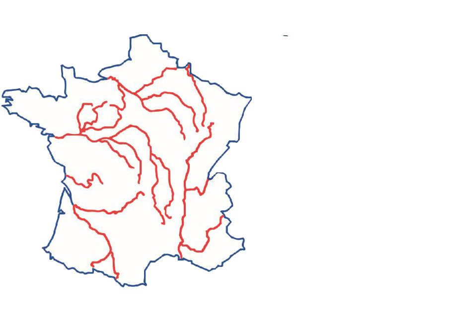 Techniciens Associés des Centres de Transfusion